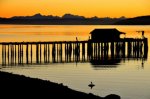 Penn Cove Pier, Whidbey&nbsp;Island