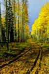 The Road Less&nbsp;Traveled